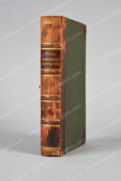 GAAK Willem.
The Origin of the Animal World,...