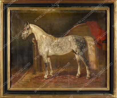 SVERTCHKOFF Nicolas Egorovitch (1817-1898)

Étalon...
