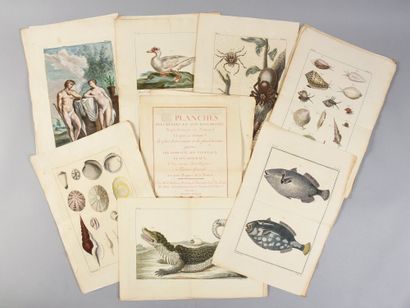 * [BOTANICS]. 
 BUC'HOZ Pierre-Joseph (1731-1807)....
