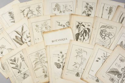 * [BOTANICS]. 
 BUC'HOZ Pierre-Joseph (1731-1807)....