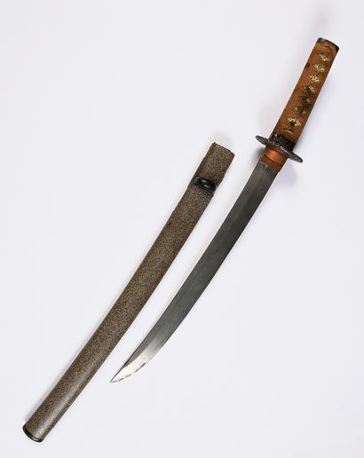 JAPANESE SABRE WAKIZASHI TYPE.
Iron moulding....