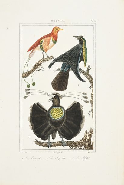 BUFFON (Georges-Louis, comte de), CUVIER...
