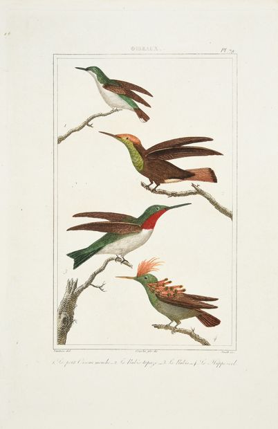 BUFFON (Georges-Louis, comte de), CUVIER...
