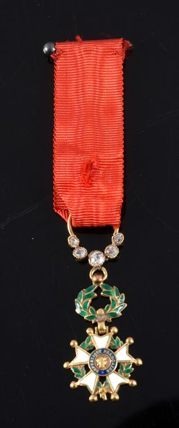 ORDER OF THE LEGION OF HONOUR (France). 
...