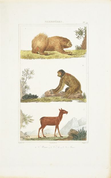 BUFFON (Georges-Louis, comte de), CUVIER...