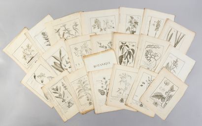 * [BOTANICS]. 
 BUC'HOZ Pierre-Joseph (1731-1807)....