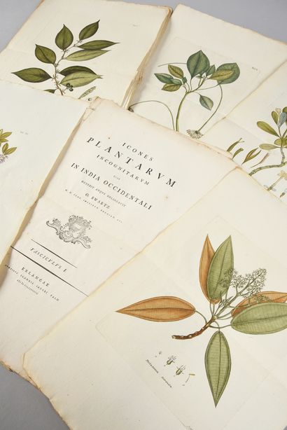 * [BOTANY] - SWARTZ Olof Peter. Icones plantarum...