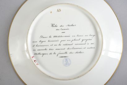 SERVICE DES PÊCHES, MANUFACTURE ROYALE, SÈVRES,...