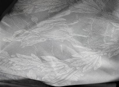 Linen damask banquet tablecloth for horse...