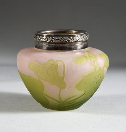 Établissements GALLÉ .(1904 - 1936)

Miniature...