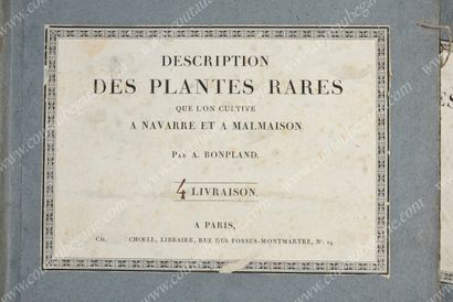 REDOUTÉ Pierre-Joseph.
Réunion de 44 planches...