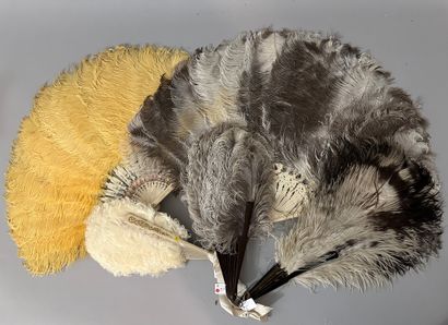 Five natural or yellow-tinted ostrich feather...