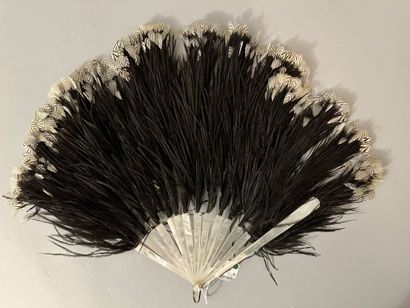Two feather fans, Europe, early 20th century

*One...