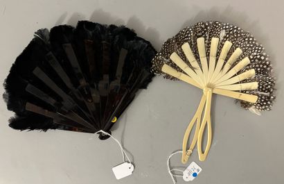 Two feather fans, early 20th century

*One...
