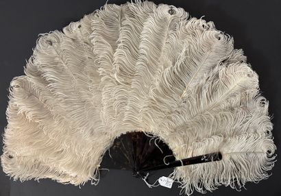 Ostrich, France, circa 1890
Ostrich feather...