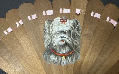 Portrait of a dog, Europe, circa 1880
Broken-type...