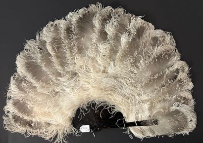 Ostrich, France, circa 1890
Ostrich feather...