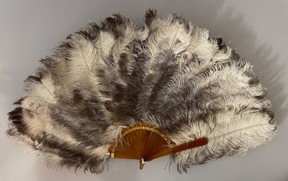 Ostrich feather fan, Europe, circa 1880 
Blond...