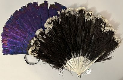 Two feather fans, Europe, early 20th century

*One...