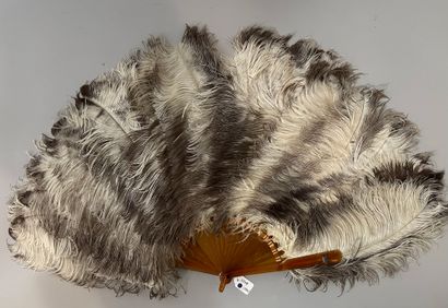 Ostrich feather fan, Europe, circa 1880 
Blond...