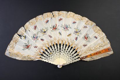 Colored birds and butterflies, circa 1830...