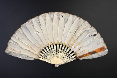 Colored birds and butterflies, circa 1830...