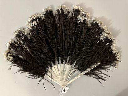 Two feather fans, Europe, early 20th century

*One...