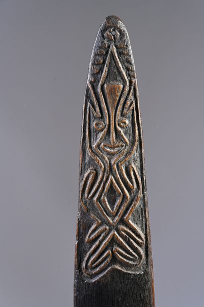 Rhombe kaiaimunu, Gulf of Papua
Papua New...