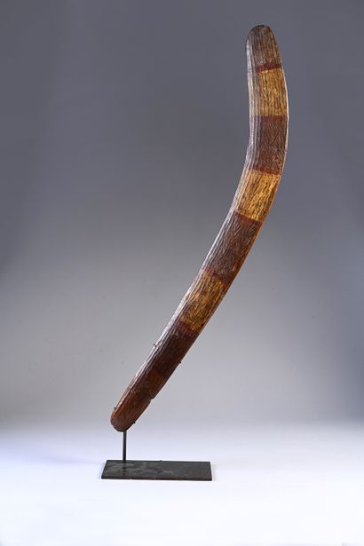 Hunting Boomerang Rainforest Region, Queensland....