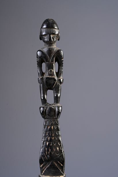 Lime spatula, Mouk Island.
Admiralty Islands
Nohou...