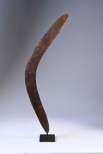 Boomerang, North West South Australia 

Length:...