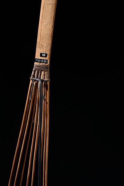 Great comb, Dogura or Wedau, Bartle Bay area
Bartle...