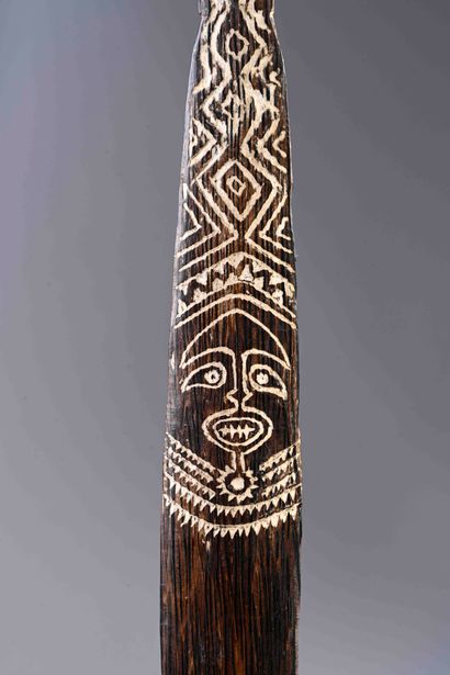 Kaiaimunu Rhombus, Gulf of Papua Papua New...