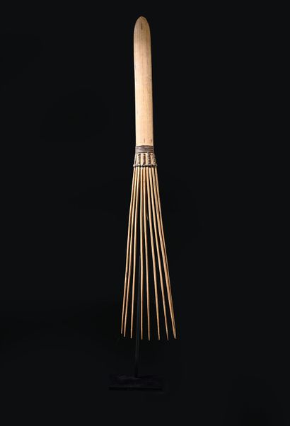 Great comb, Dogura or Wedau, Bartle Bay area
Bartle...