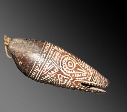 Marupai, Gulf of Papua, Papua
Papua New Guinea
Coconut,...
