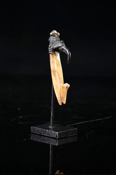 Hook, Salomon lies
Carved mother-of-pearl,...