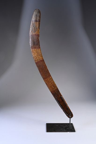 Hunting Boomerang Rainforest Region, Queensland....