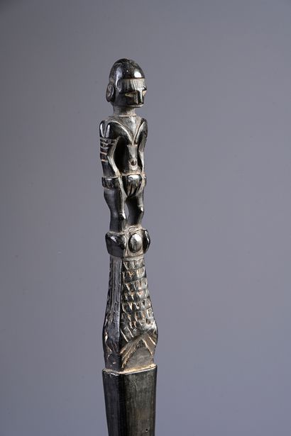 Lime spatula, Mouk Island.
Admiralty Islands
Nohou...
