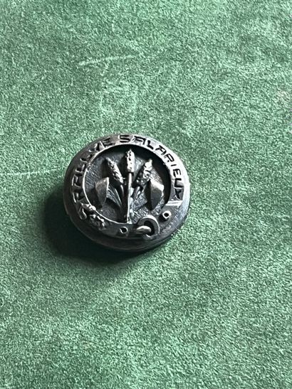 AIN. Bouton de gilet du rallye Salarieux...