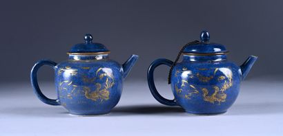 Two powder blue porcelain teapots with ducks....