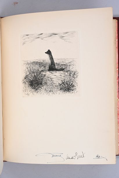 Le Roman de Renart
Editions Hippocrate et...