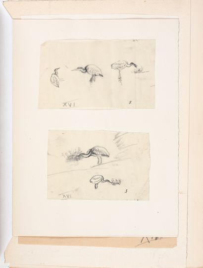 Le Roman de Renart
Editions Hippocrate et...
