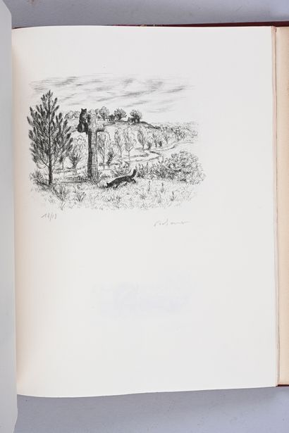 Le Roman de Renart
Editions Hippocrate et...