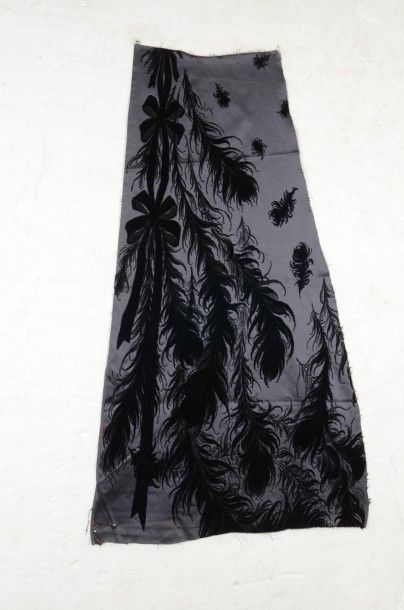 Célèbre velours ciselé d'une robe du soir...