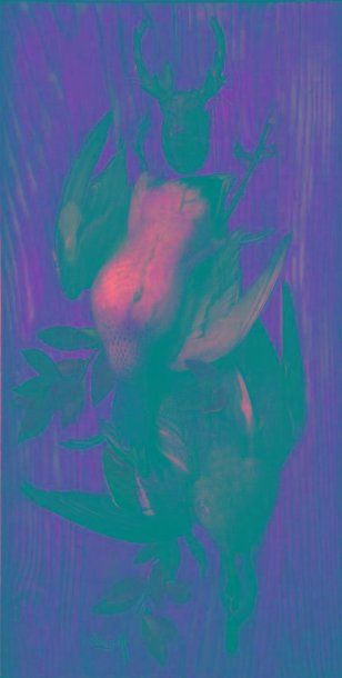 A.SAUVAGE
«Nature morte aux sarcelles». Huile...