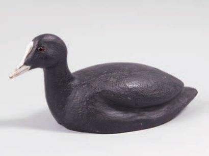 Foulque. Trés bel appelant tout liège de...