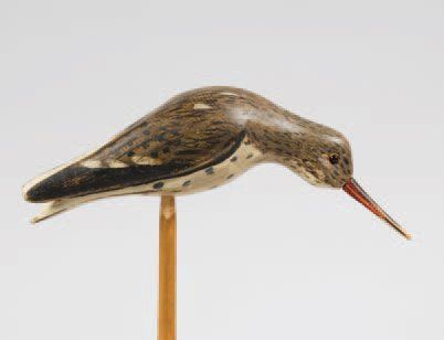 Chevalier gambette (pattes rouges ou petite...