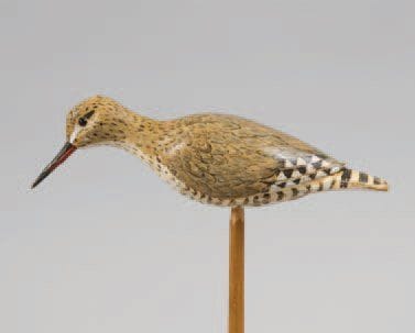 Chevalier Gambette (petite cabidoule ou pattes...