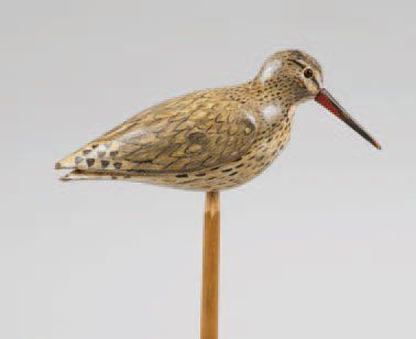 Chevalier Gambette (petite cabidoule ou pattes...