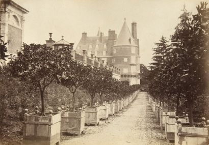 Château de Randan. Lot de trois grandes photographies...